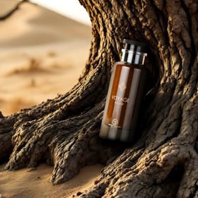 voyage fragrance style