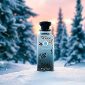 bonsoir perfume