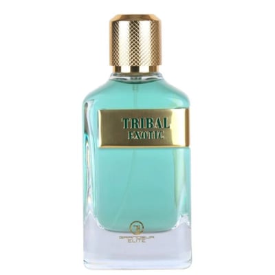 Grandeur Tribal Exotic by Grandeur 100ml EDP Men — A clear glass perfume bottle with turquoise liquid, featuring a gold rectangular label with 'TRIBAL EXOTIC' text and a textured gold cap.