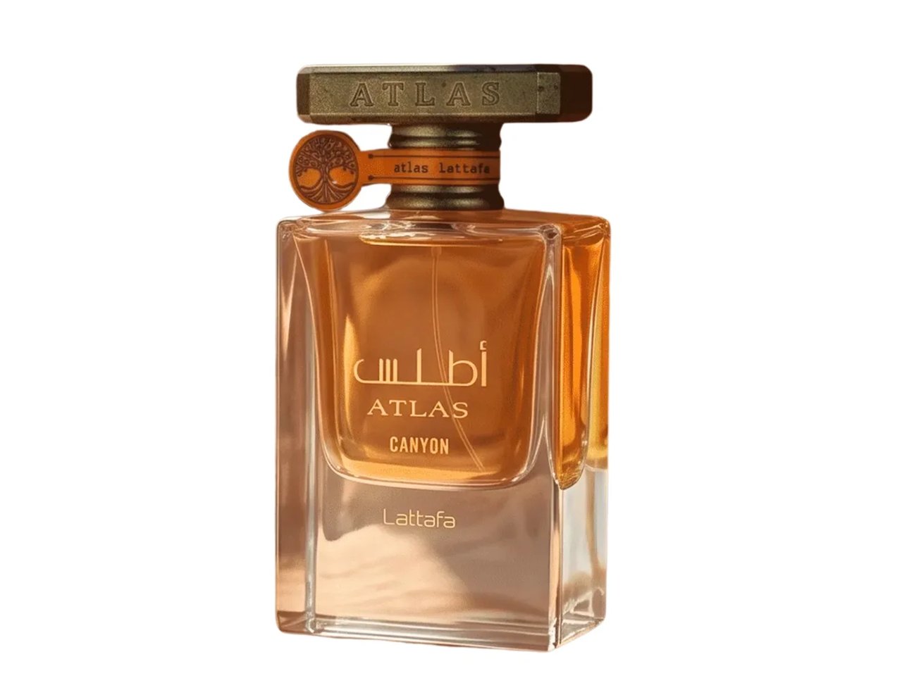 Lattafa Atlas Canyon Lattafa 55ml Unisex — Amber liquid in a clear glass bottle with a textured gold cap and an ornate tree emblem on the neck.