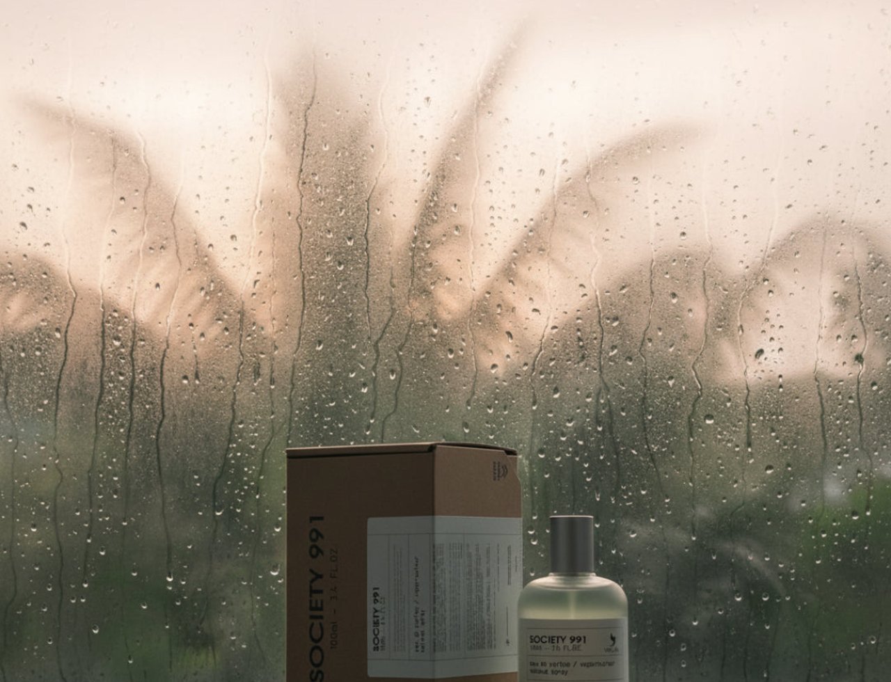 Volare Society 991 by Volare 100ml Unisex — A clear glass perfume bottle and its brown cardboard box sit on a reflective surface, with a blurred background of palm fronds seen through a rain-streaked window.