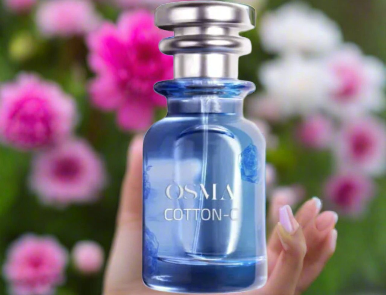 Osma Cotton C Rose & Sandalwood 75ml — Blue glass perfume bottle held in a hand, with a silver cap, against a blurred background of pink and white flowers.