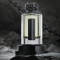 Lynked Freedom by Afnan 100ml Eau De Parfum
