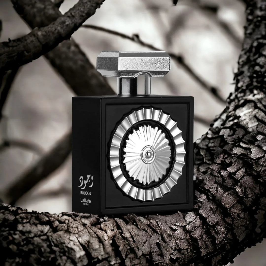Wajood 100ml EDP – Lattafa Perfume for Men (Fresh Aqua Woody Scent)