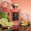 Bujairami Blush by Bujairami Eau de Parfum 100ml — Pink glass perfume bottle with gold cap, surrounded by pink peonies, bergamot, lime slices, almonds, and vanilla beans on a reflective surface.