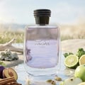 Rasasi Hawas For Him Eau De Parfum 100ml by Rasasi