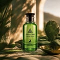 Maison Alhambra Jean Lowe Verde Aura 100ml — A green glass perfume bottle with a black cap sits on a textured surface, with a cactus and draped fabric in the background. | Maison Alhambra Jean Lowe Verde Aura 100ml — Botol kaca hijau dengan penutup hitam diletakkan di atas permukaan bertekstur, dengan kaktus dan