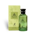 Maison Alhambra Jean Lowe Verde Aura 100ml — A light green perfume bottle and its matching light green box with cactus and leaf illustrations, set against a white background. | Maison Alhambra Jean Lowe Verde Aura 100ml — Sebotol minyak wangi hijau muda dan kotak hijau muda padanannya dengan ilustrasi kaktus dan daun