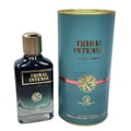 Grandeur Tribal Intense by Grandeur 100ml EDP Men — Black glass perfume bottle with gold cap next to teal cylindrical box with gold accents