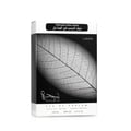 Lattafa Najdia by Lattafa – 100 ml for Men, a perfume box featuring a close-up of a leaf skeleton design and Arabic text.
