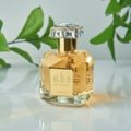 Lattafa Sutoor 100ml EDP for Women — Golden perfume bottle with a crystal-embellished cap, set against a soft white background with blurred green leaves.
