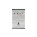 Maison Alhambra Alpine Homme Sport — A rectangular perfume box with a silver, textured front featuring the text 'ALPINE HOMME SPORT' and a deer logo.