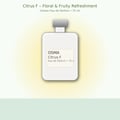 Osma Osma Citrus F 75ml Eau de Parfum - Fruity & Rose — A white perfume bottle with a light grey cap, featuring a label with 'OSMA Citrus F Eau de Parfum 75 ml' text, set against a soft yellow gradient background.
