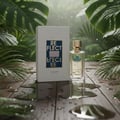 Zimaya Reflect by Zimaya 100ml EDP Unisex — A white perfume box and a clear glass bottle with a gold cap, set on a wet wooden surface amidst lush green tropical leaves.