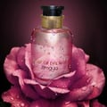 Zimaya Rose of Dreams by Zimaya 100ml EDP Women — A pink glass perfume bottle with water droplets, resting on a large pink rose with water droplets, dark background.